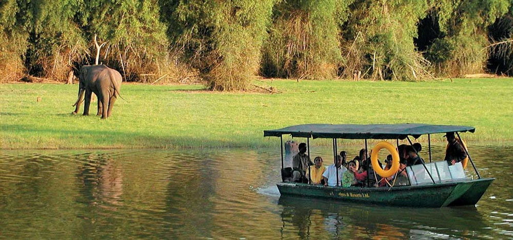 Kabini bandipui wildlife tour package